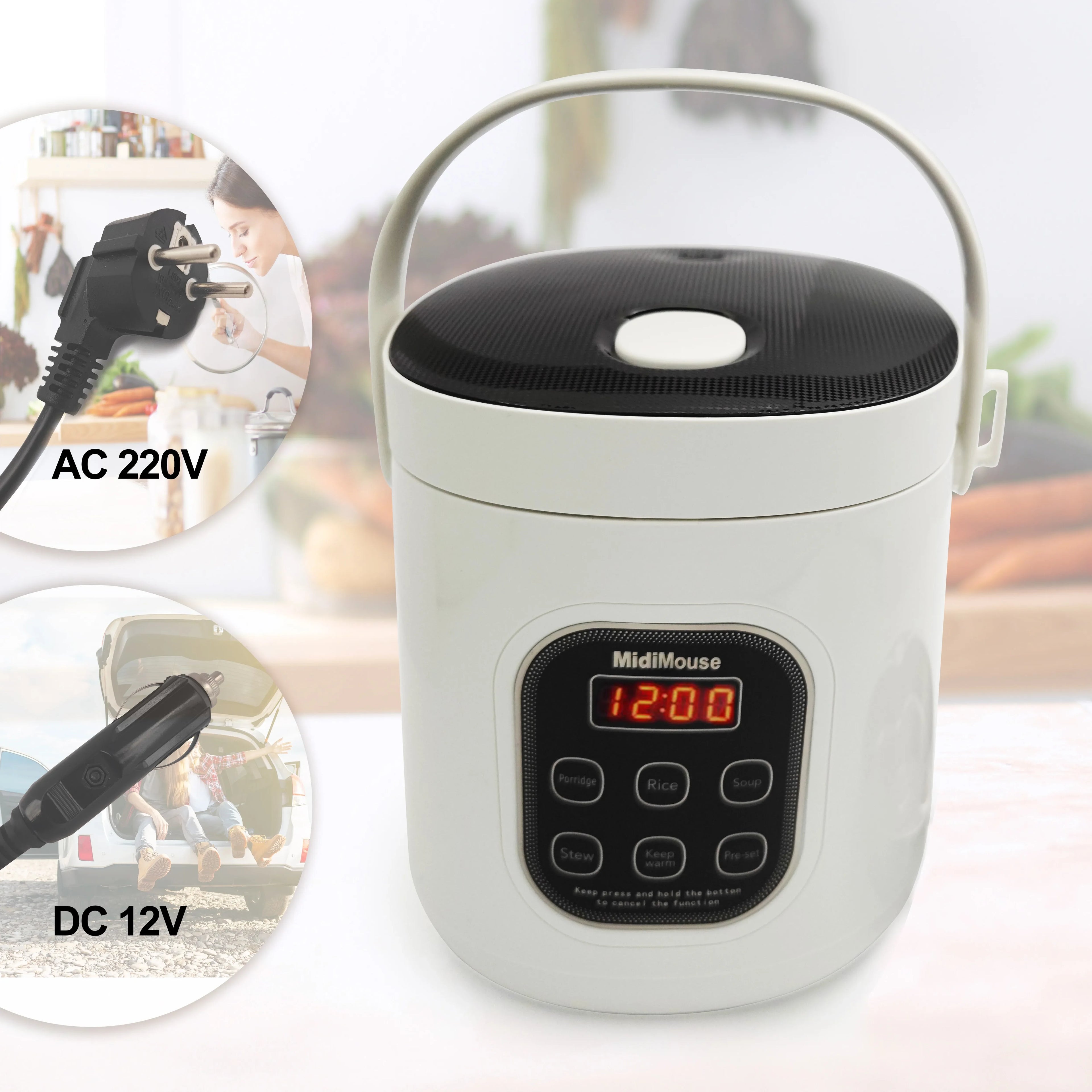 Rice Cooker Used in Car and Home 12v to 220v or Truck and Home 24v to 220V or Car and Truck 12v to 24v